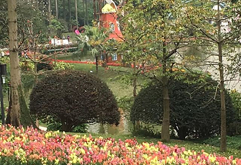 云台花园第 62 张图片