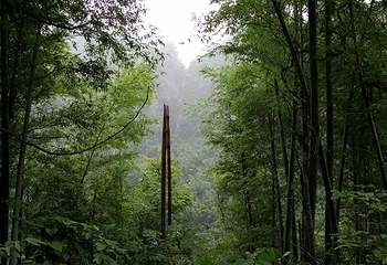 白水洞风景区第 32 张图片