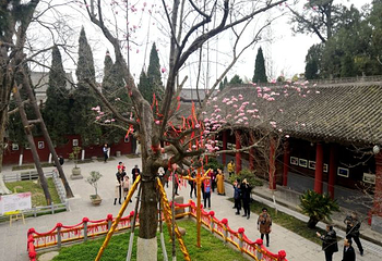 勉县武侯祠博物馆第 47 张图片