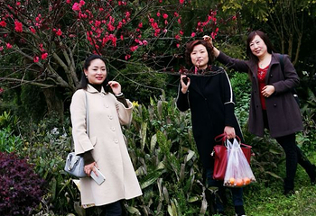 张坝桂圆林旅游区第 14 张图片