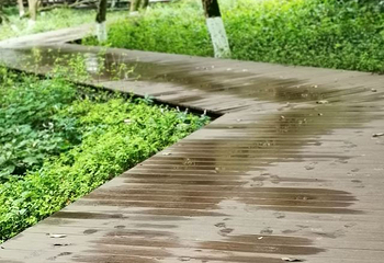 张坝桂圆林旅游区第 10 张图片