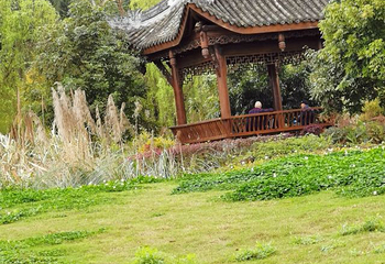 张坝桂圆林旅游区第 8 张图片