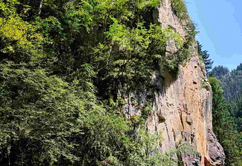 吐鲁沟国家森林公园第 29 张图片