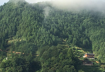 雷公山第 25 张图片