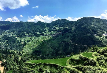雷公山第 15 张图片