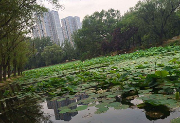 咸阳湖景区第 20 张图片