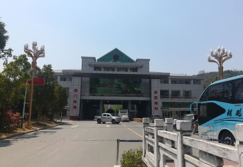 打洛镇第 21 张图片
