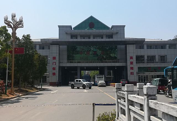 打洛镇第 20 张图片