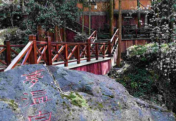 宁海森林温泉第 50 张图片