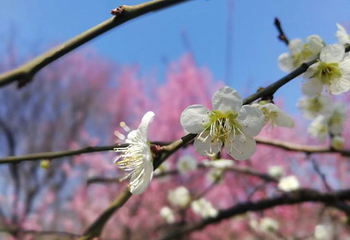 北京西山国家森林公园第 75 张图片