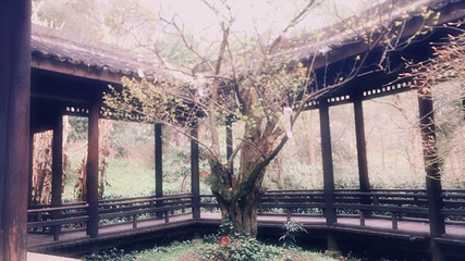 黄公望隐居地第 46 张图片