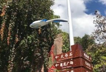 朱雀国家森林公园第 67 张图片