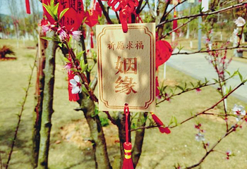 九真第 9 张图片