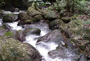 野趣沟第 33 张图片