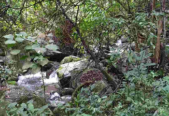 野趣沟第 32 张图片