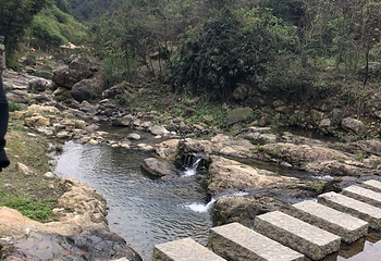 天竺山森林公园第 31 张图片