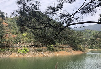 天竺山森林公园第 28 张图片