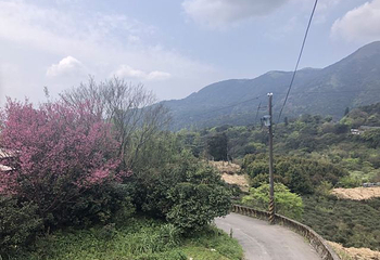 阳明山国家公园第 36 张图片