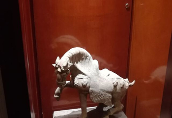 秦龙温泉第 16 张图片