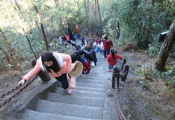 腾冲云峰山原始森林公园第 14 张图片