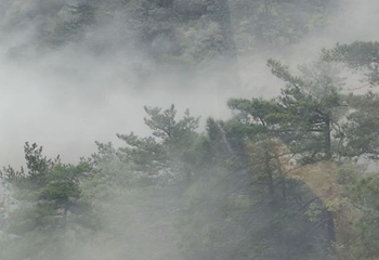 灵山风景名胜区第 43 张图片