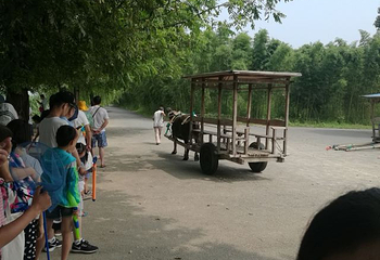 双溪漂流景区第 42 张图片