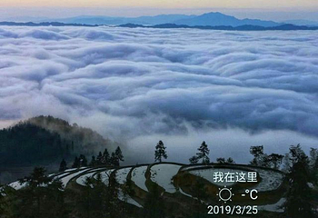紫鹊界梯田第 35 张图片