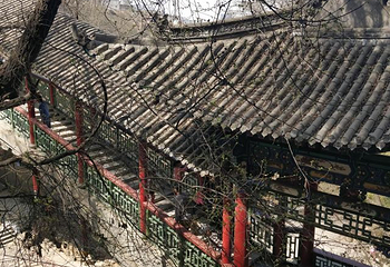 五泉山公园第 28 张图片