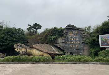 湖光岩风景区第 82 张图片