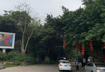 湖光岩风景区第 81 张图片