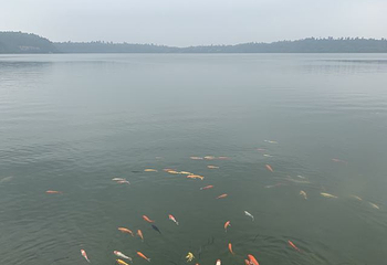 湖光岩风景区第 78 张图片