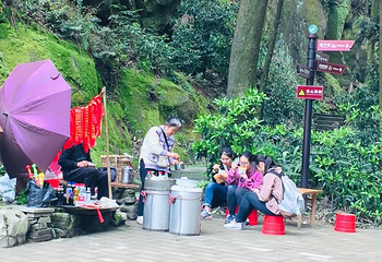 缙云山第 41 张图片