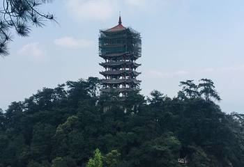 缙云山第 40 张图片