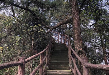 缙云山第 45 张图片