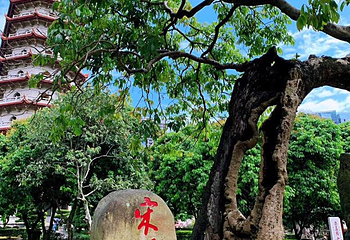 西禅古寺第 63 张图片