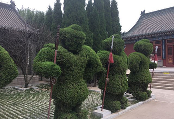 赵云庙第 33 张图片