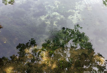 珍珠泉风景区第 39 张图片