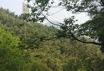 山沟沟景区第 49 张图片