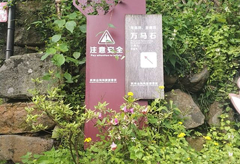 山沟沟景区第 46 张图片