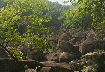 山沟沟景区第 44 张图片