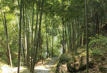 山沟沟景区第 42 张图片
