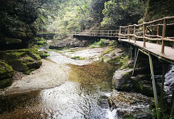 醉山野景区第 87 张图片