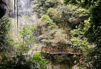 醉山野景区第 86 张图片