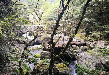 醉山野景区第 85 张图片