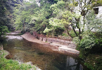 醉山野景区第 84 张图片