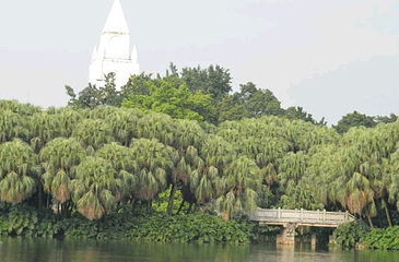 流花湖公园第 57 张图片