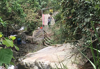 星罗纪大森林景区(广州二龙山花园)第 30 张图片