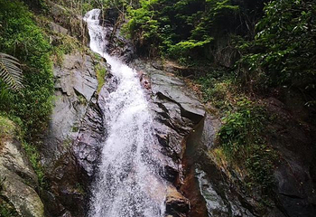 星罗纪大森林景区(广州二龙山花园)第 29 张图片
