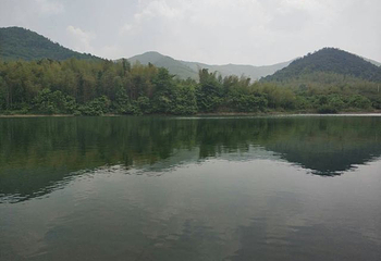 龙池山自行车公园第 30 张图片