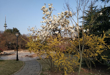 海滨风景区-百花苑第 17 张图片